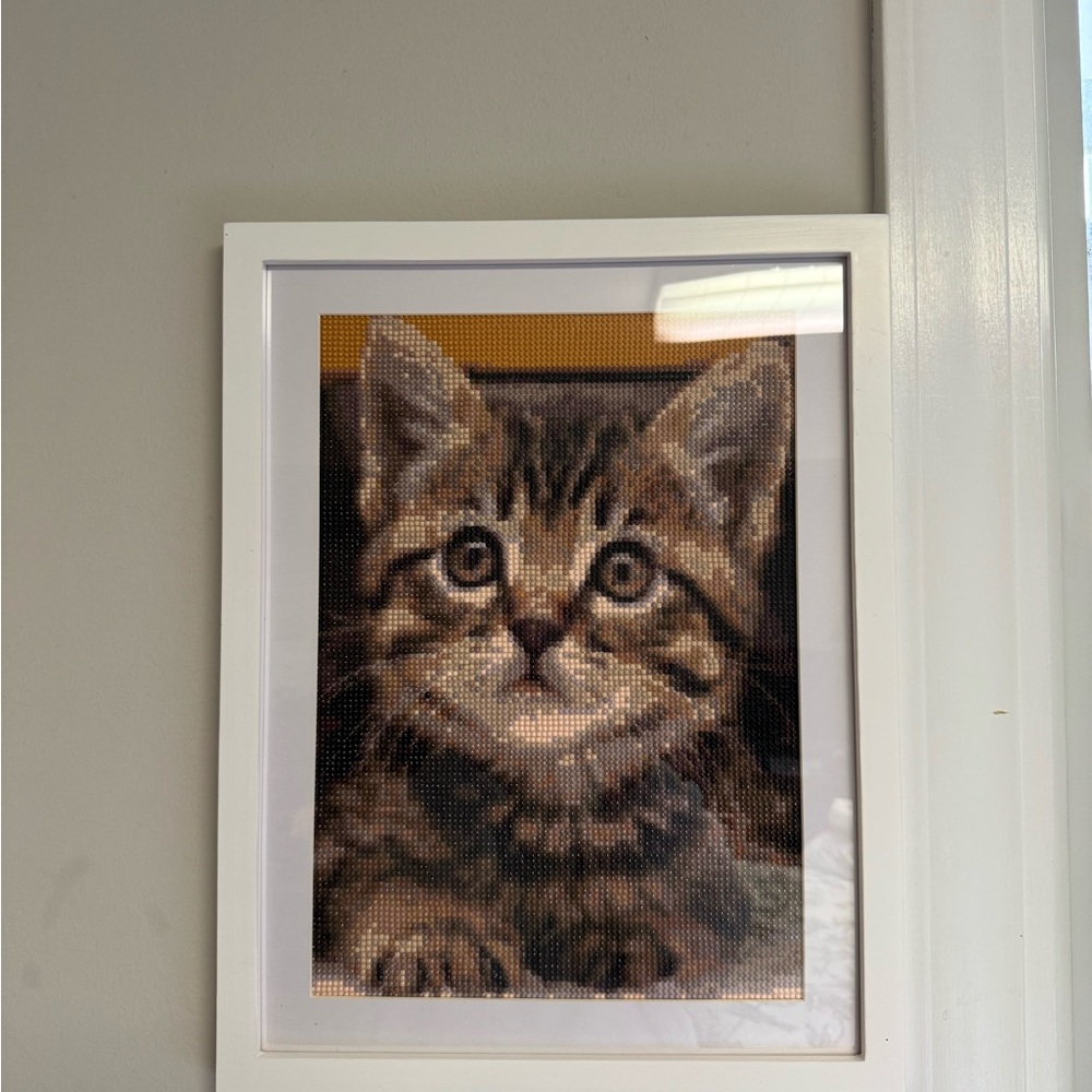 Framed Cat Portrait in Brown and Black